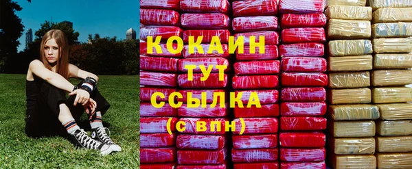 бошки Белокуриха