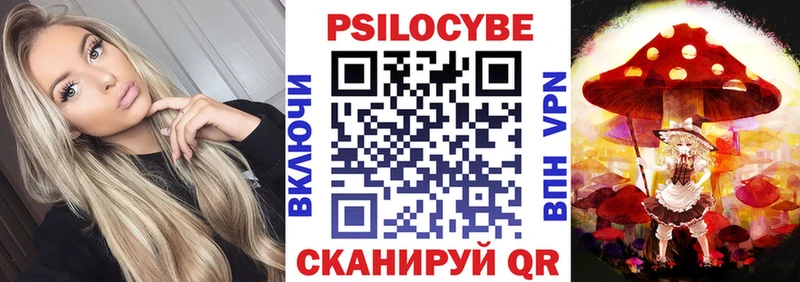 blacksprut ссылки  Мглин  Галлюциногенные грибы Psilocybine cubensis 
