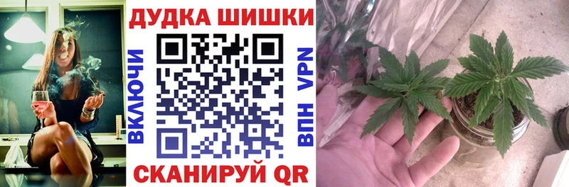 Бошки марихуана индика Мглин